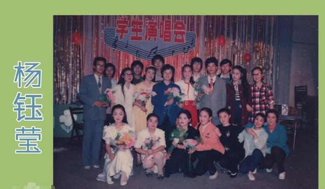 杨钰莹红楼小说，杨钰莹小说阅读（“甜歌皇后”杨钰莹的激荡情史）