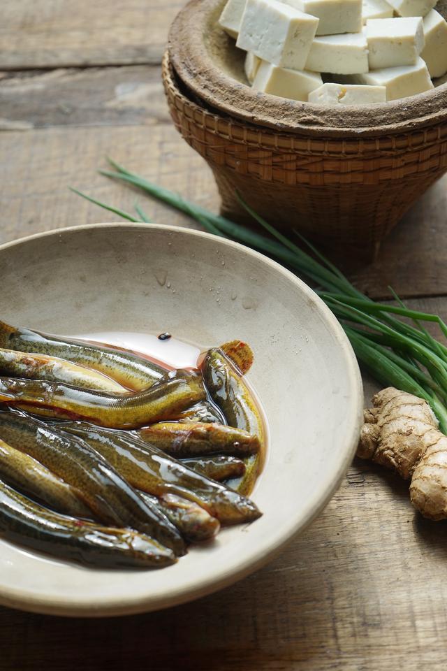泥鳅炖豆腐的做法，泥鳅炖豆腐最佳做法（三步炖出色如奶白的鲜美浓汤）