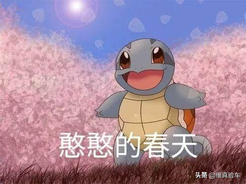 宝马1系敞篷跑车，宝马行车记录仪怎么连接手机（20W的宝马敞篷轿跑）