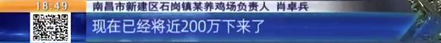 养鸡场投资多少钱，养1000只鸡需投资多少（男子投资200万元的养鸡场）