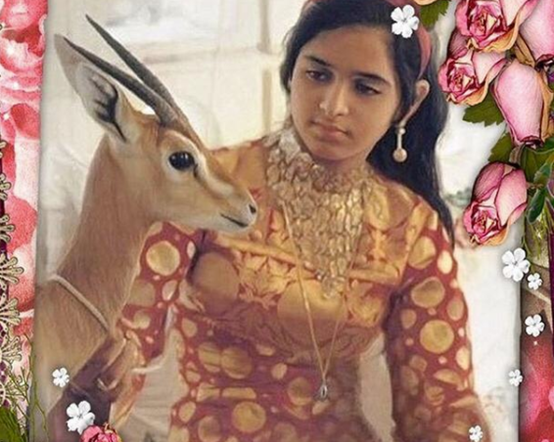 哈曼丹未婚妻谢克哈，谢哈克和哈曼丹（迪拜大王妃17年生12子被雪藏）