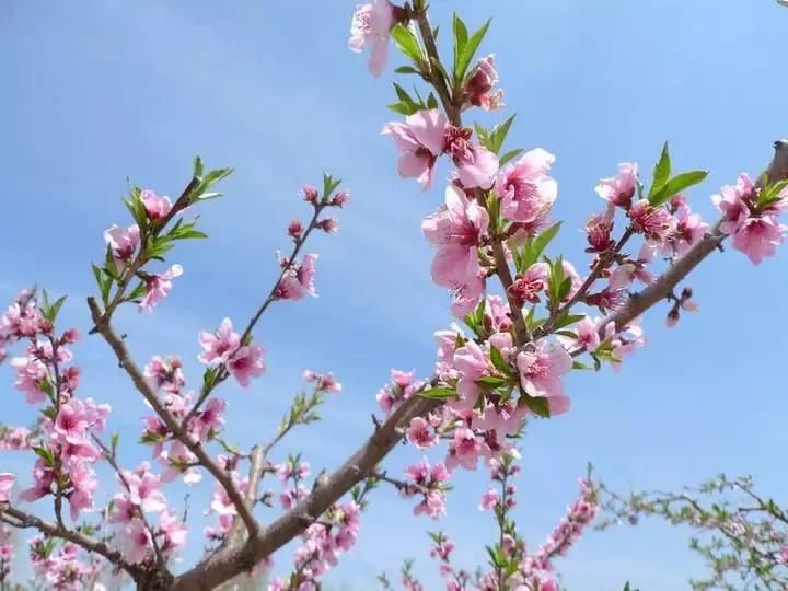 安徽大学江淮学院教务系统，安徽大学江淮学院教务系统入口（<三十七>安徽大学江淮学院）