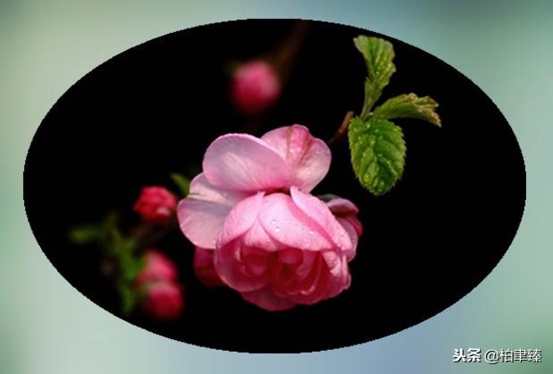 在乎与不在乎的区别，在乎与不在乎<说的太好了>