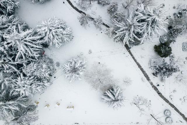 纯净的雪是什么颜色的，雪一共有几种颜色（想知道雪的颜色吗）