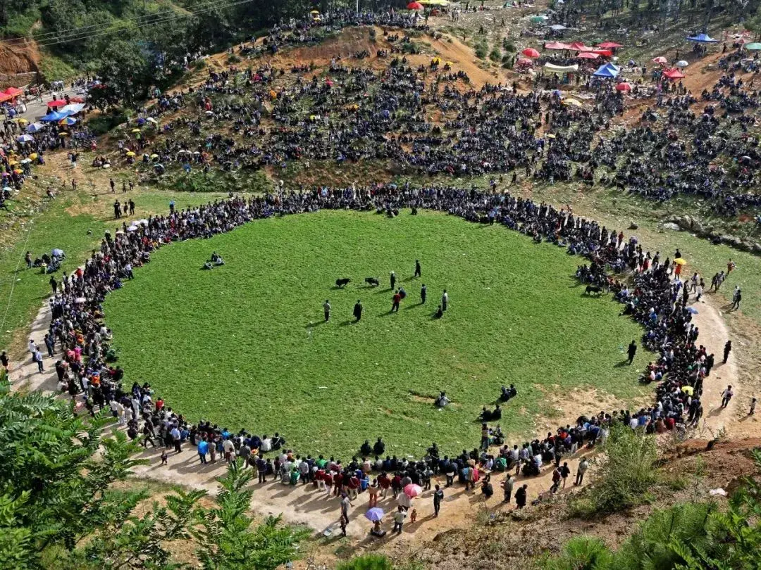 彝族风俗节庆，彝族的传统节日和风俗（薪火相传——彝族火把节）