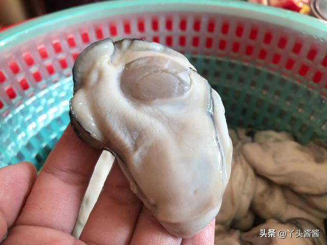 生蚝怎么处理干净，生蚝怎么处理干净的（脏东西全部跑出来）