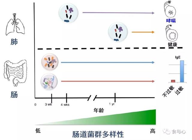 sfb是什么意思，sfnb是什么意思（你必须知道的热知识<二>）