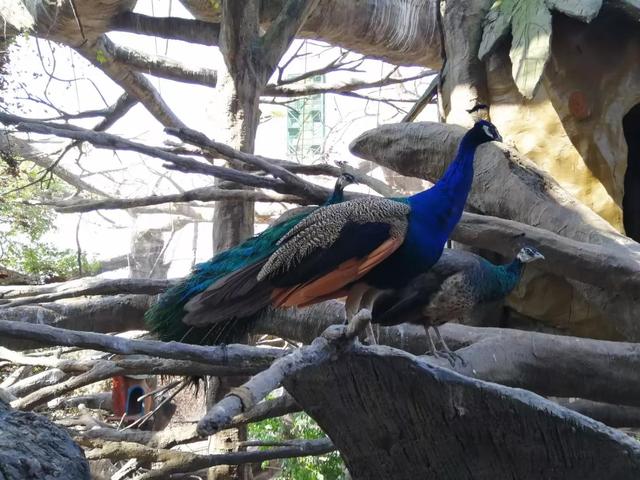 番禺有什么好玩的地方，番禺有什么好玩的（广州番禺旅游攻略<C篇>）