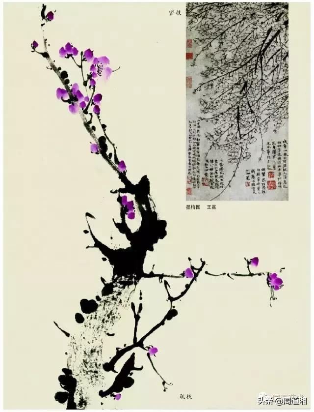 梅花13怎么手绘画，教梅花13怎么画（国画入门教程——梅花的画法）