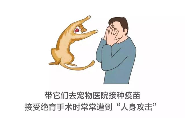 如何做一个定制猫窝，如何制作一个猫窝（看百度工程师研发的流浪猫智能猫窝）