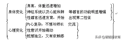 反射弧包括哪五个部分，反射弧的五个组成部分（七年级下册生物期末考试复习提纲）