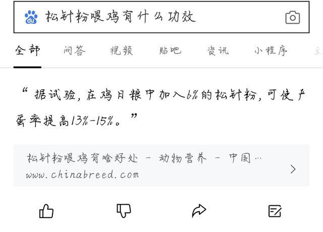 吃松针粉的好处，吃松针粉的好处与功效（松针粉这么便宜喂鸡竟然还有这些好处）