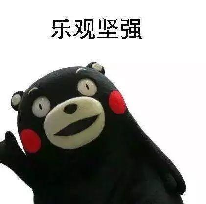 杨迪小孩子都懂的道理，你的语言藏着孩子的未来
