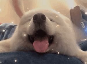 浅笑安然网名，浅笑安然微信昵称（浪漫温柔的网名 2.0）