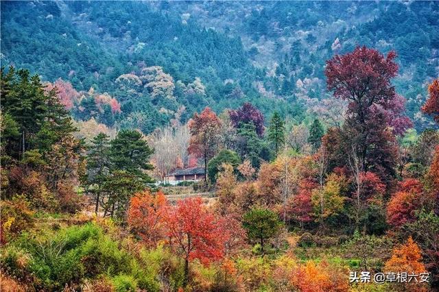 金寨灵山寺在哪，谢谢你，金寨