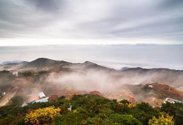 满山红叶似彩霞，阿宝歌曲大全（山东最全赏红叶地图来了）