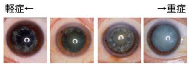 色盲能治好吗，色弱训练36张图片（自己或者孩子有没有色盲）