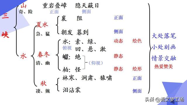 三峡猿啼之谜，三峡中的猿鸣（人教版语文八上三单元《三峡》课文详解）