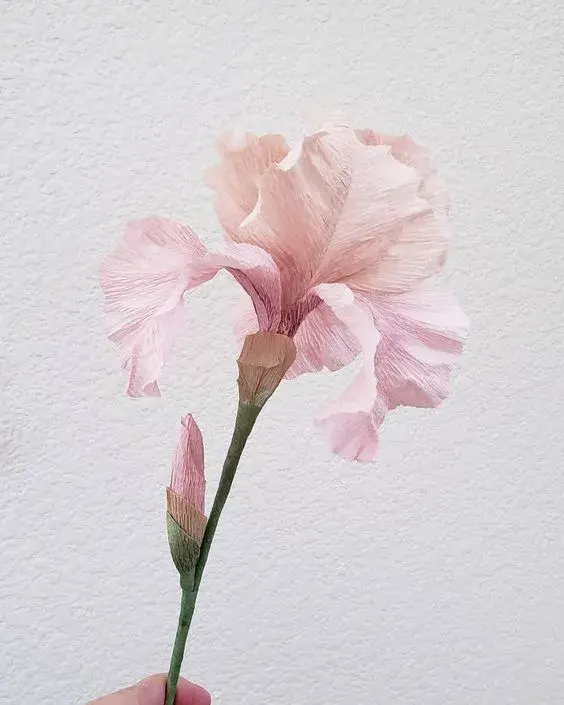 手工花朵制作方法，彩纸手工制作花朵的方法（喜欢花哪儿还用买）