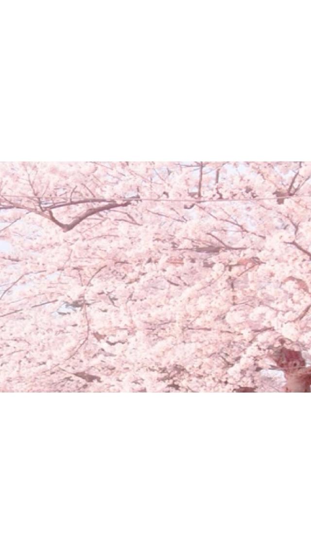 精选套图,精品首页套图(〔精选套图〕子兮子兮) 精选套图,精品首页套图(〔精选套图〕子兮子兮)