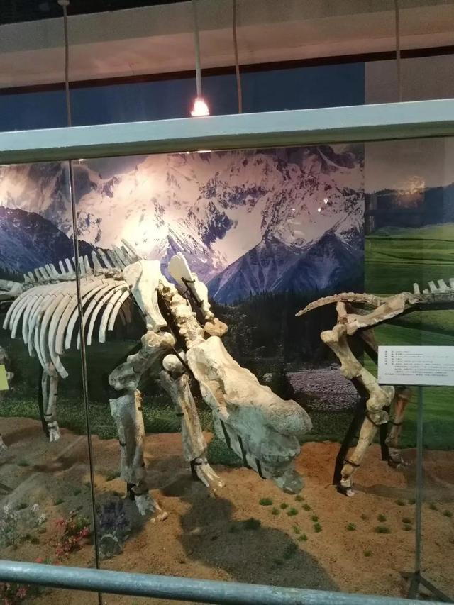 番禺有什么好玩的地方，番禺有什么好玩的（广州番禺旅游攻略<C篇>）