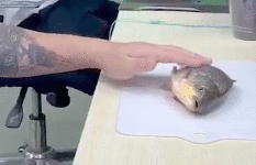 笔记本连蓝牙耳机，笔记本蓝牙怎么连接蓝牙耳机（鸿蒙最爽的功能）