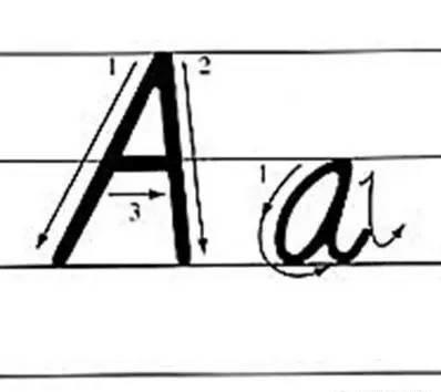 u的正确写法(大写字母u的正确写法)插图