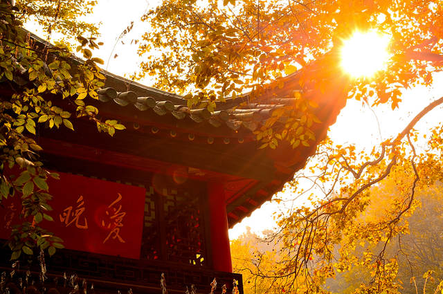 醉翁亭在什么地方，醉翁亭在哪（其中三座因诗词闻名）