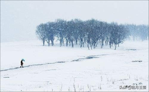 二拜高堂，高堂指什么（明月玉壶：“雨雪又纷飞）