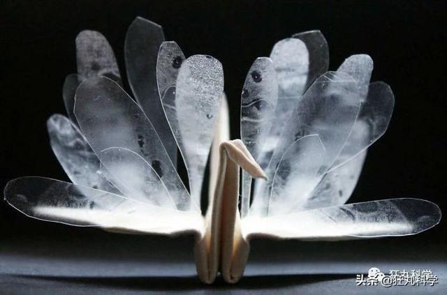 如何做一个千纸鹤，怎样才能做千纸鹤（一千天叠出1000种纸鹤）