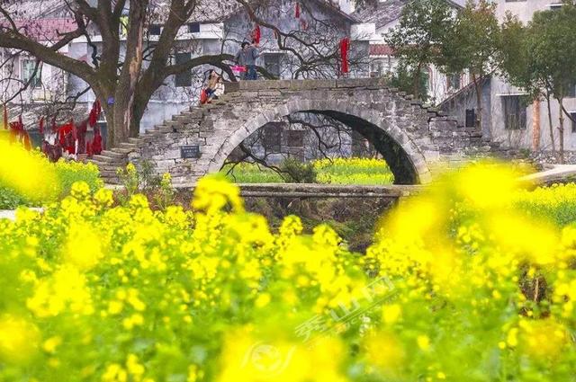 春天古诗25首简单的，关于春天的25首简单古诗有哪些（在诗韵中遇见最美的春天）