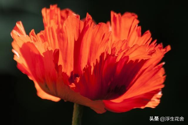 pubg怎么更新，pubg客户端如何更新（想和你重新认识一次）