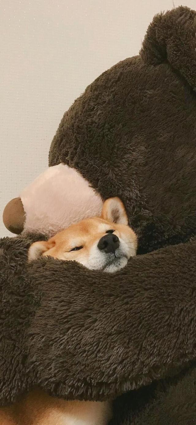 平安喜乐万事胜意，平安喜乐万事胜意什么意思（壁纸 ， 平安喜乐，万事胜意）