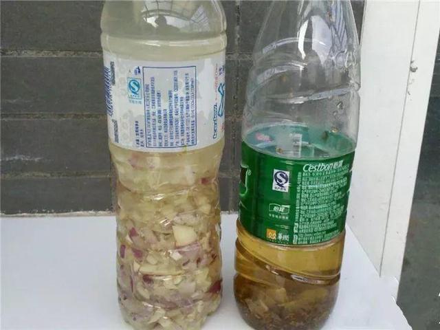 家里有鼻涕虫怎么消灭，鼻涕虫怎么彻底消灭（自制天然杀虫水）