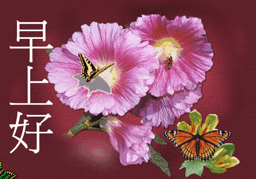 十字最美早安短句，十字最美早安短句有哪些（清晨我第一个祝福你：早安朋友）