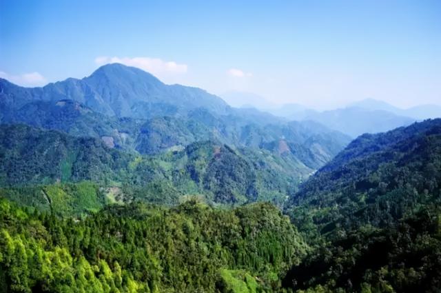 蝴蝶谷在哪，广州蝴蝶谷在哪（打卡安州蝴蝶谷小众秘境）