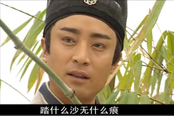 少年包青天何中华演过谁，从一代大侠到“渣爹专业户”