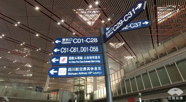 国航最高级别什么卡，国航白金卡什么级别（经济舱也能享受贵宾室、提前选座等权益）