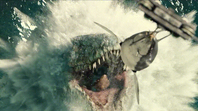 十大怪异鲨鱼，10000米长的蜈蚣（背后隐藏着一个人类起源的故事）