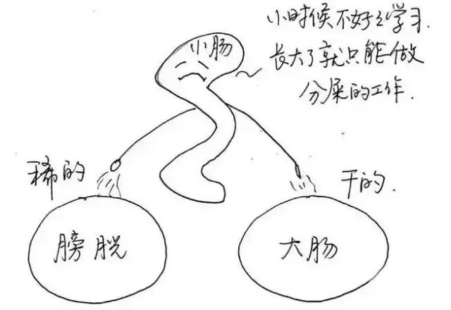 十二时辰养生对照表,子午流注十二时辰养生漫画图解 十二时辰养生对照表,子午流注十二时辰养生漫画图解