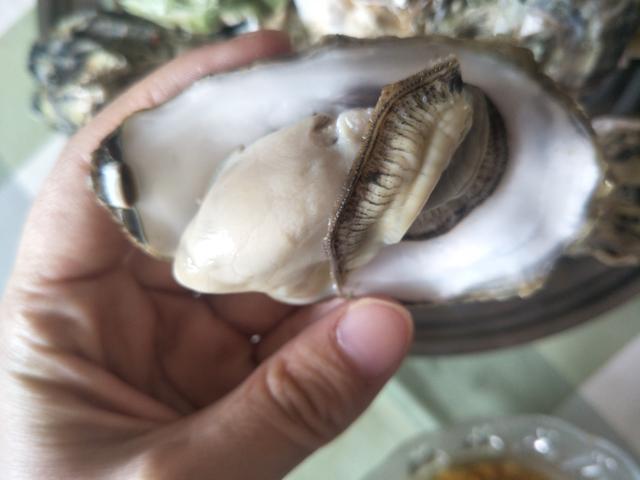 生蚝的做法蒸几分钟，生蚝的做法蒸几分钟海螺可以吃（冷水下锅还是热水下锅）