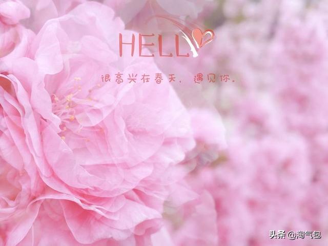 12个月都有什么情人节，二月没过情人节的今天补上