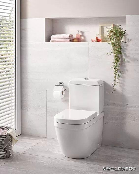 霸王芋，卫生间潮湿、发霉、不通风（霸王芋的养殖方法和注意事项）