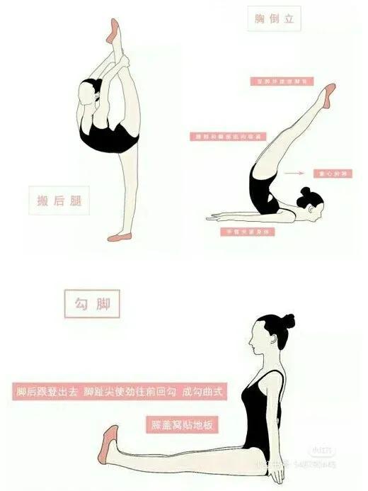 练舞蹈要练哪些基本功，练舞蹈要练哪些基本功视频（最全舞蹈基本功练习动作合集）