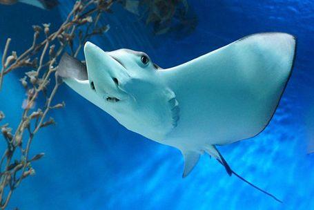 湄公河在我国境内的名称是什么，湄公河在哪里（你真的了解湄公河吗）