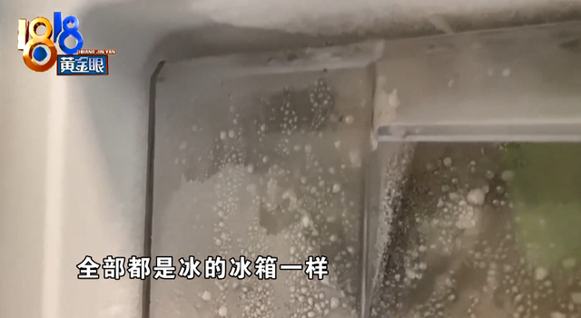 伊莱克斯冰箱好不好，“这简直不能生活了”