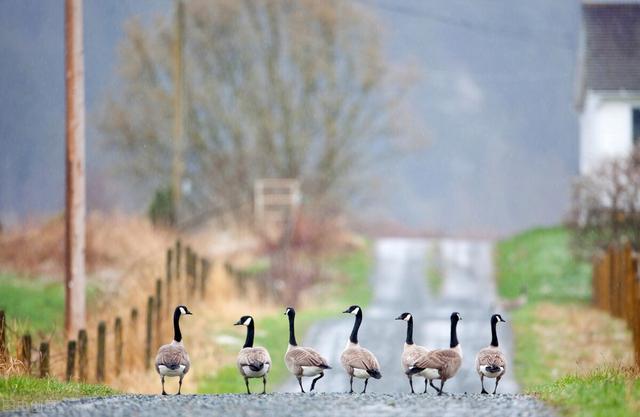 2021立夏是几号几月 农历三月廿四，2021立夏是几号几月（盘点那些你不知道的立夏养生冷知识）