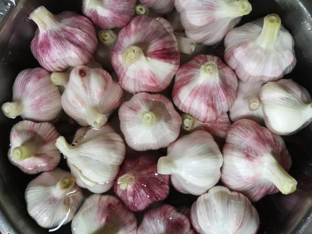 怎么在家里制作甜蒜，怎么在家里制作甜蒜泥（这配方我用了十几年）