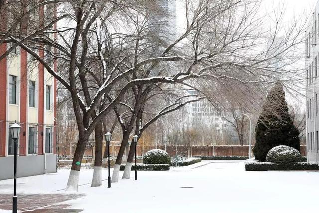 天津农学院是几本，天津农业学院是几本的（天津市普通高等院校）