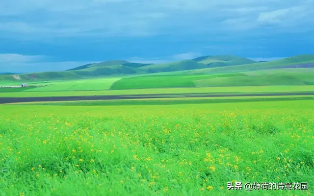 关于春天的诗歌，写给春天的诗歌仿写三年级（隔屏都感觉到了盎然生机与活力）